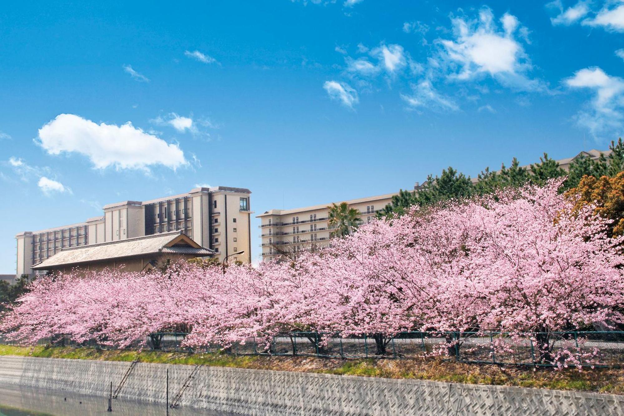 Ryugujo Spa Hotel Mikazuki Fujimitei Kisarazu Exteriér fotografie